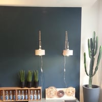 VALCUCINE l'alliance du placage noyer et le verre brillant gris